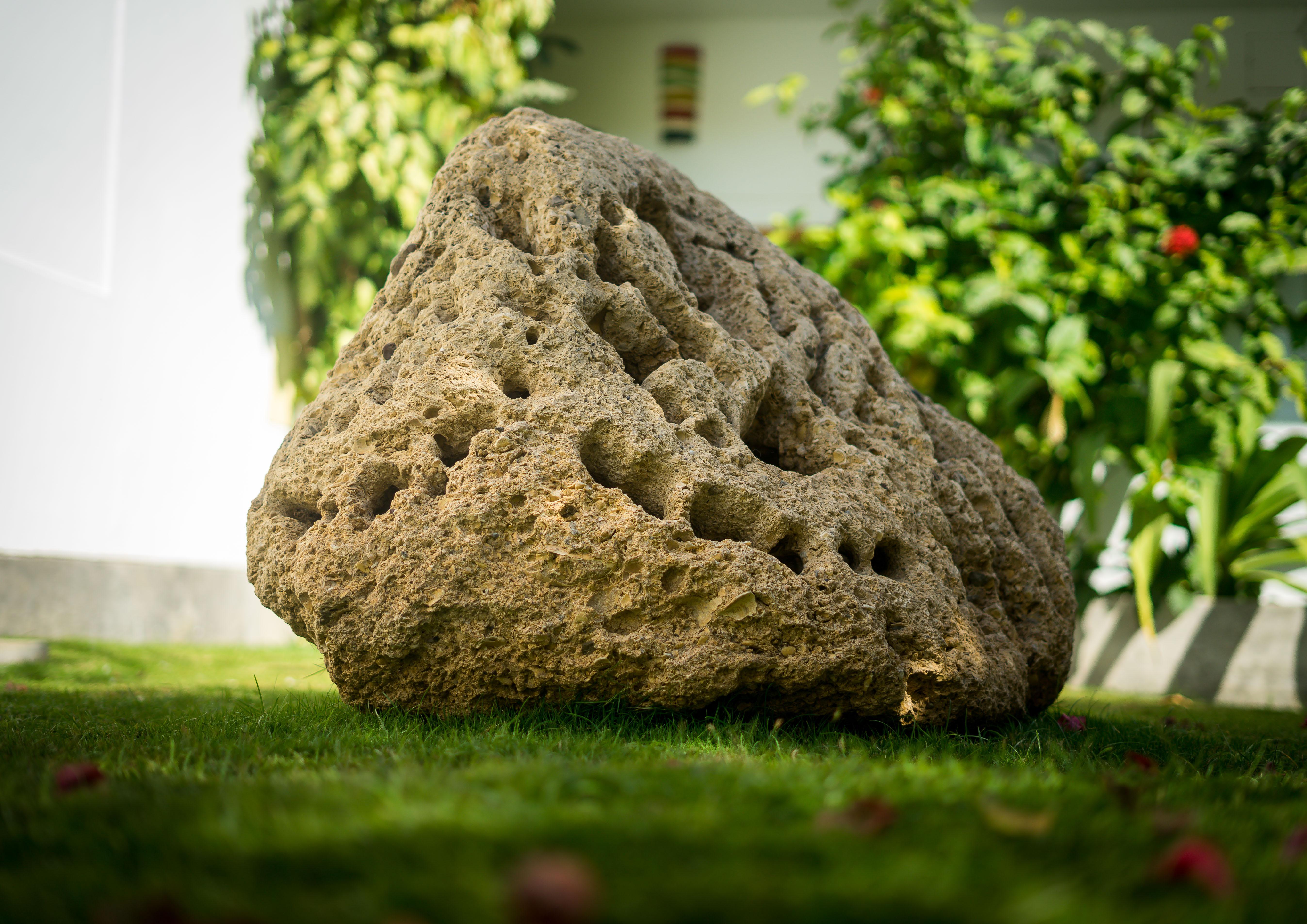 Escultura 2